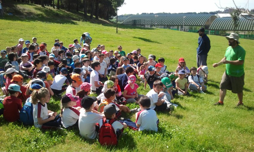 Vacaciones Divertidas. Actividades Lúdicas para niños en vacaciones escolares en Valladolid. Naturaleza y Circo