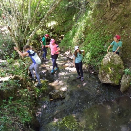 campamento verano estarivel perapertu 2019 16