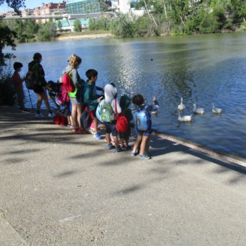 Campamento Urbano Naturaleza Cercana 2021