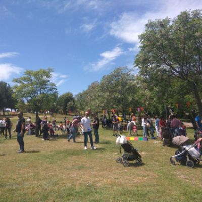Festival 40 de Mayo
