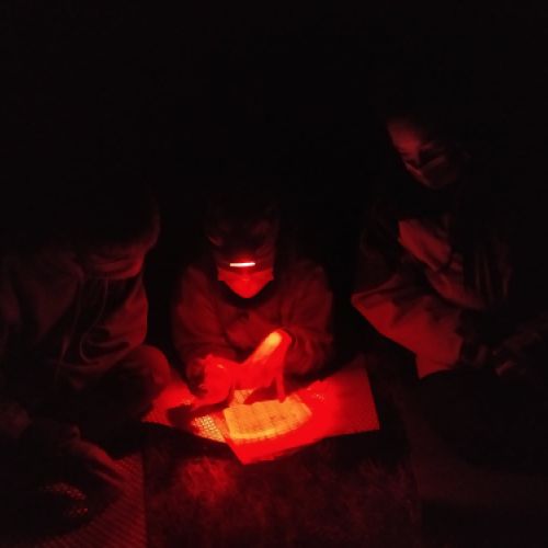 241933570 1482898545421650 8723275934549499226 n