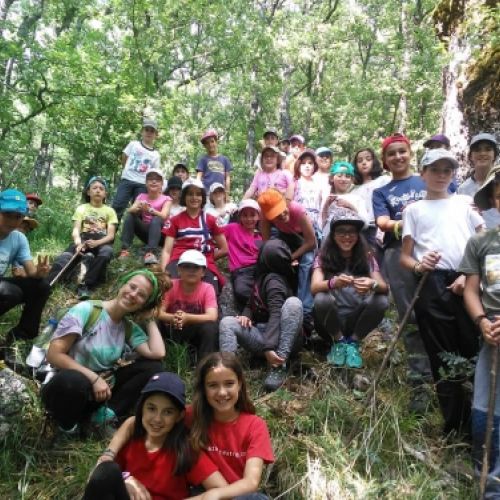 campamento verano estarivel perapertu 2019 10