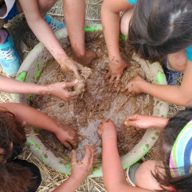 Colabora con la Asociación Estarivel