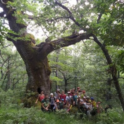 campamento verano estarivel perapertu 2019 13