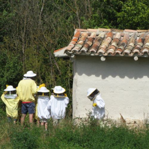 La huerta de Valoria