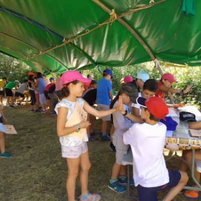 campamento verano estarivel perapertu 2019 17