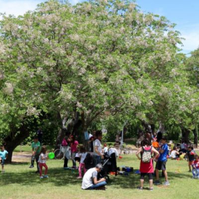 Festival 40 de Mayo. III Edición año 2019. Valladolid. Asociación Estarivel