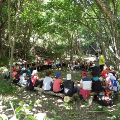 campamento verano estarivel perapertu 2019