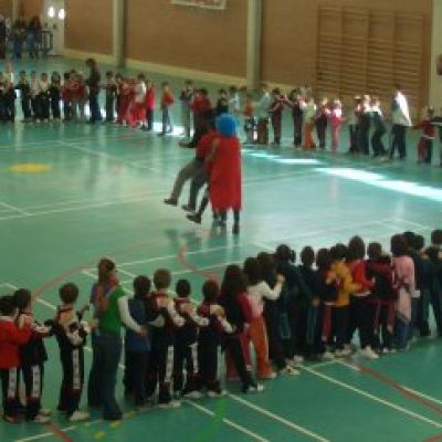 estarivel polideportivo 2008