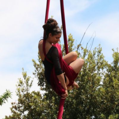 40 de mayo estarivel 13