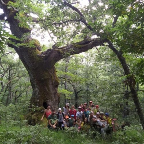 campamento verano estarivel perapertu 2019 13