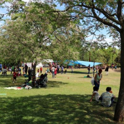 Festival 40 de Mayo