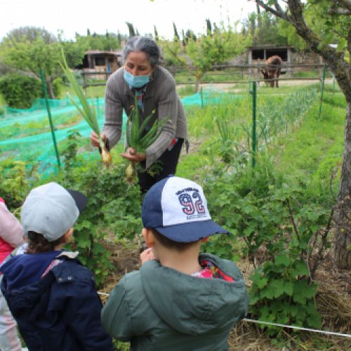 La huerta de Valoria