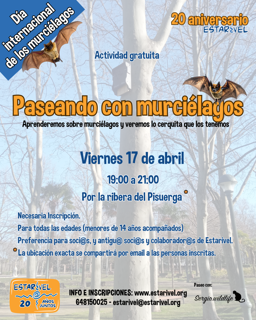 Paseando Con Murci&eacute;lagos